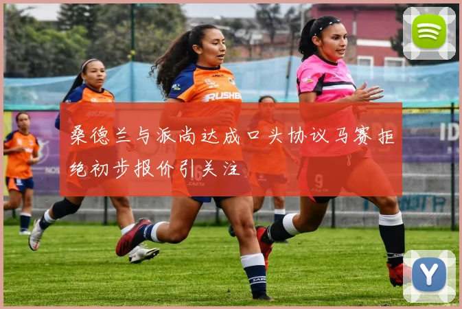 桑德兰与派尚达成口头协议马赛拒绝初步报价引关注