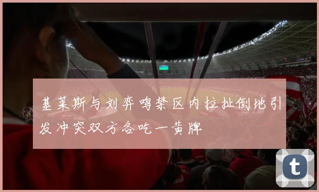 基莱斯与刘弈鸣禁区内拉扯倒地引发冲突双方各吃一黄牌