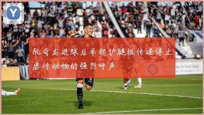 阮奇龙进球后举起护腿板传递停止虐待动物的强烈呼声