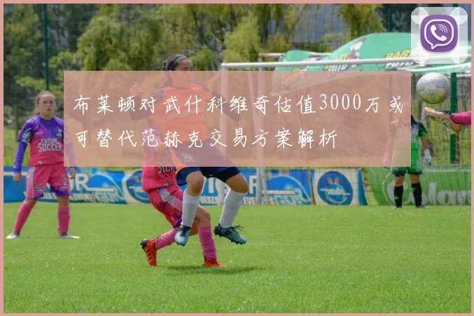 布莱顿对武什科维奇估值3000万或可替代范赫克交易方案解析